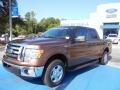 2011 Golden Bronze Metallic Ford F150 XLT SuperCrew  photo #1