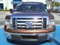 2011 Golden Bronze Metallic Ford F150 XLT SuperCrew  photo #8