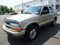 Light Pewter Metallic - Blazer LS 4x4 Photo No. 2