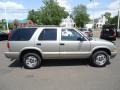 Light Pewter Metallic - Blazer LS 4x4 Photo No. 4