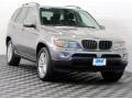 2005 Sterling Grey Metallic BMW X5 4.4i  photo #1