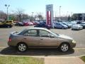 Bronze Shimmer - Sentra 1.8 S Photo No. 11