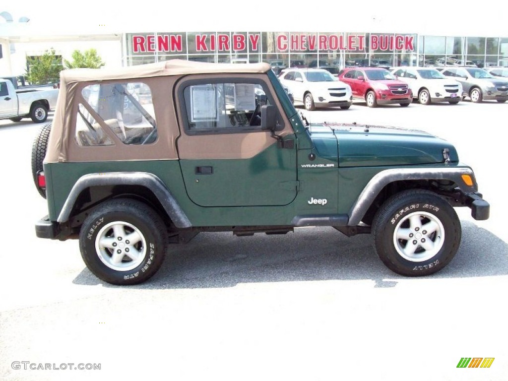 2001 Wrangler SE 4x4 - Forest Green / Camel photo #3