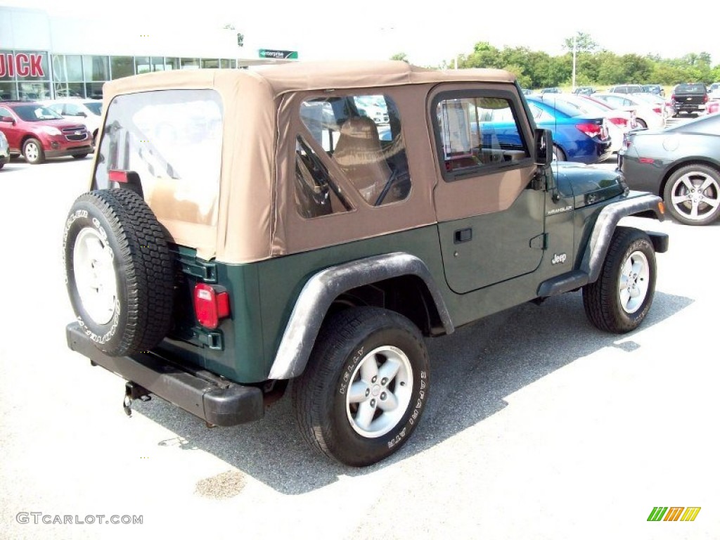 2001 Wrangler SE 4x4 - Forest Green / Camel photo #12