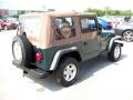 2001 Forest Green Jeep Wrangler SE 4x4  photo #12