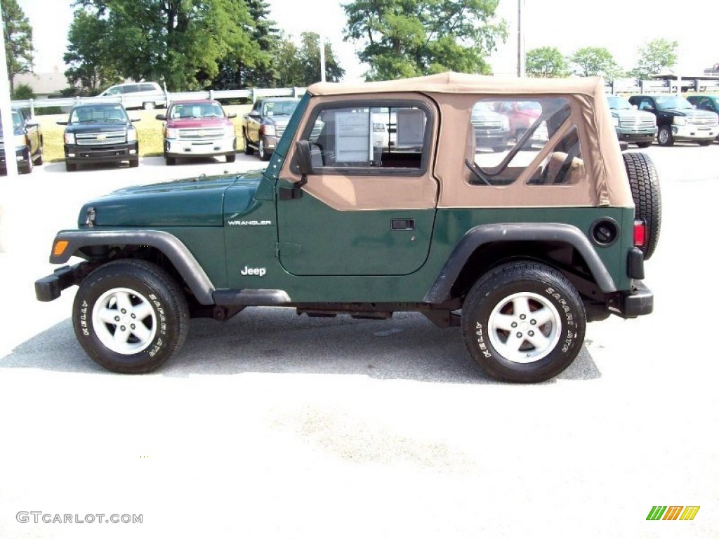 2001 Wrangler SE 4x4 - Forest Green / Camel photo #13