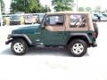2001 Forest Green Jeep Wrangler SE 4x4  photo #13