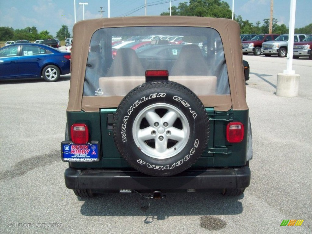 2001 Wrangler SE 4x4 - Forest Green / Camel photo #14