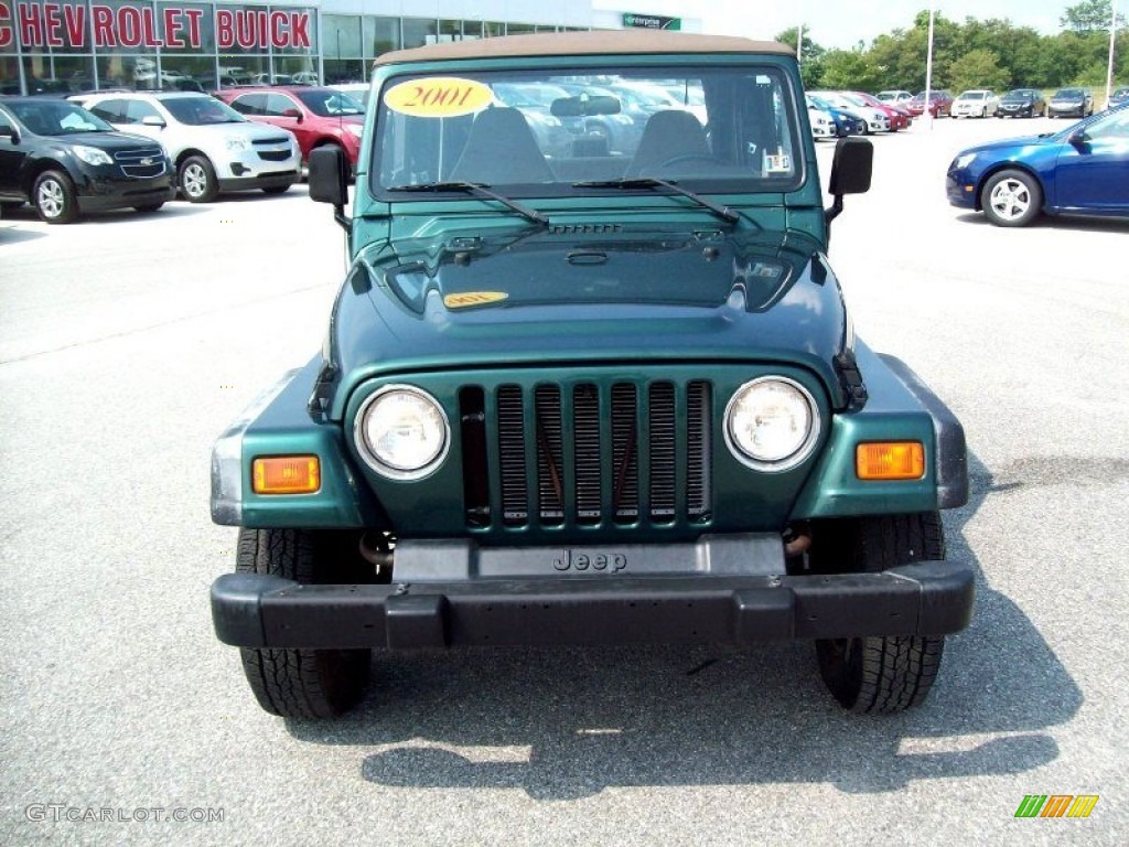 2001 Wrangler SE 4x4 - Forest Green / Camel photo #15