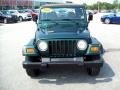 2001 Forest Green Jeep Wrangler SE 4x4  photo #15