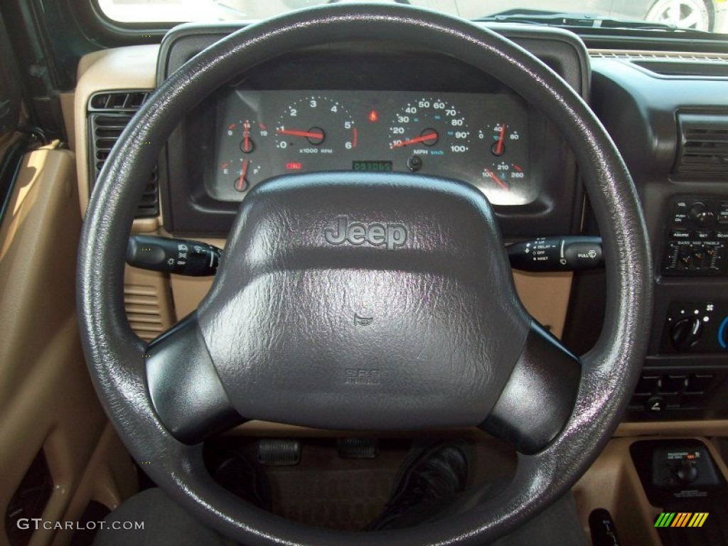 2001 Wrangler SE 4x4 - Forest Green / Camel photo #23