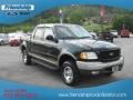 2002 Black Ford F150 XLT SuperCrew 4x4  photo #4