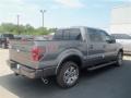 2012 Sterling Gray Metallic Ford F150 FX2 SuperCrew  photo #5
