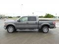 2010 Sterling Grey Metallic Ford F150 XLT SuperCrew  photo #5