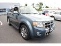 2010 Steel Blue Metallic Ford Escape Limited V6 4WD  photo #7