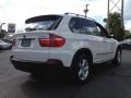 Alpine White - X5 3.0si Photo No. 4