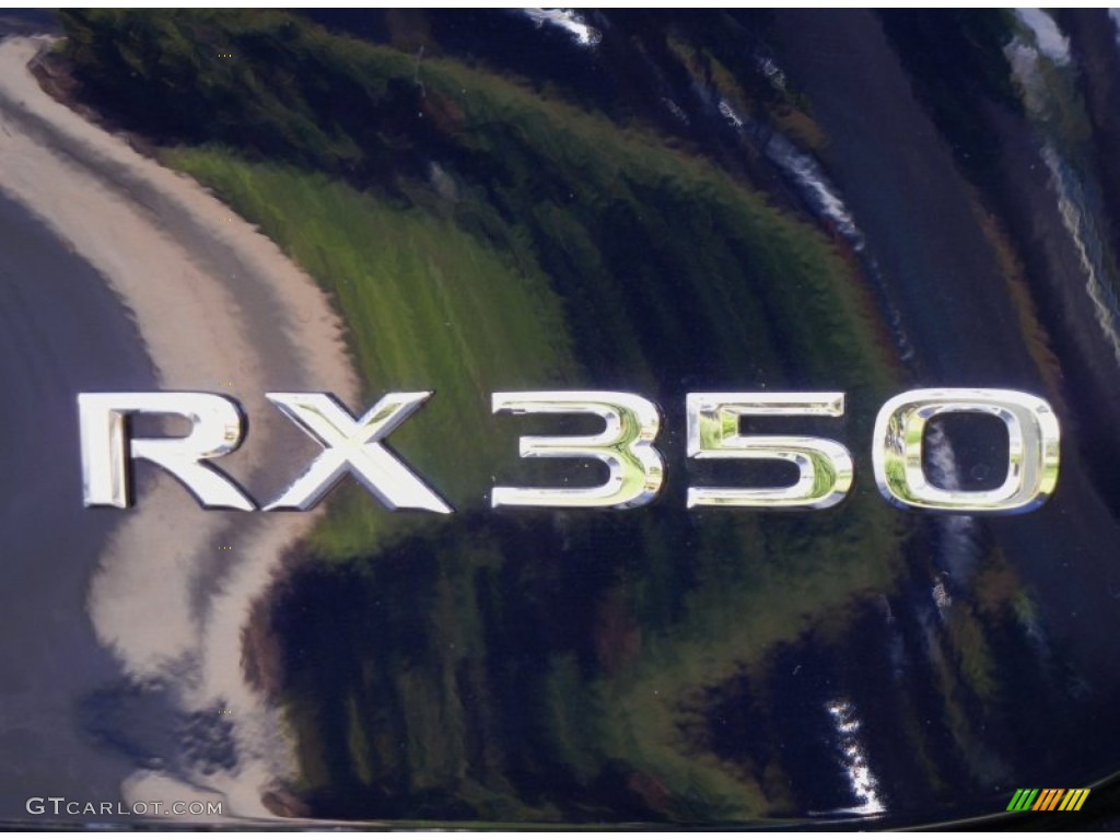 2010 Lexus RX 350 Marks and Logos Photo #67795632
