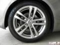 Platinum Graphite Gray - G 37 Coupe Photo No. 30