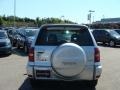 Titanium Metallic - RAV4 4WD Photo No. 5