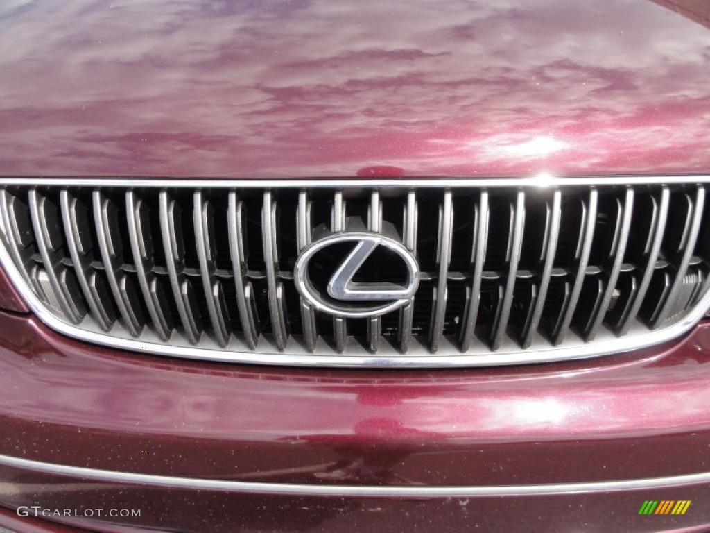 2002 GS 300 - Black Cherry Pearl / Ivory photo #31
