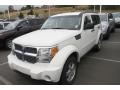 Stone White - Nitro SE 4x4 Photo No. 4