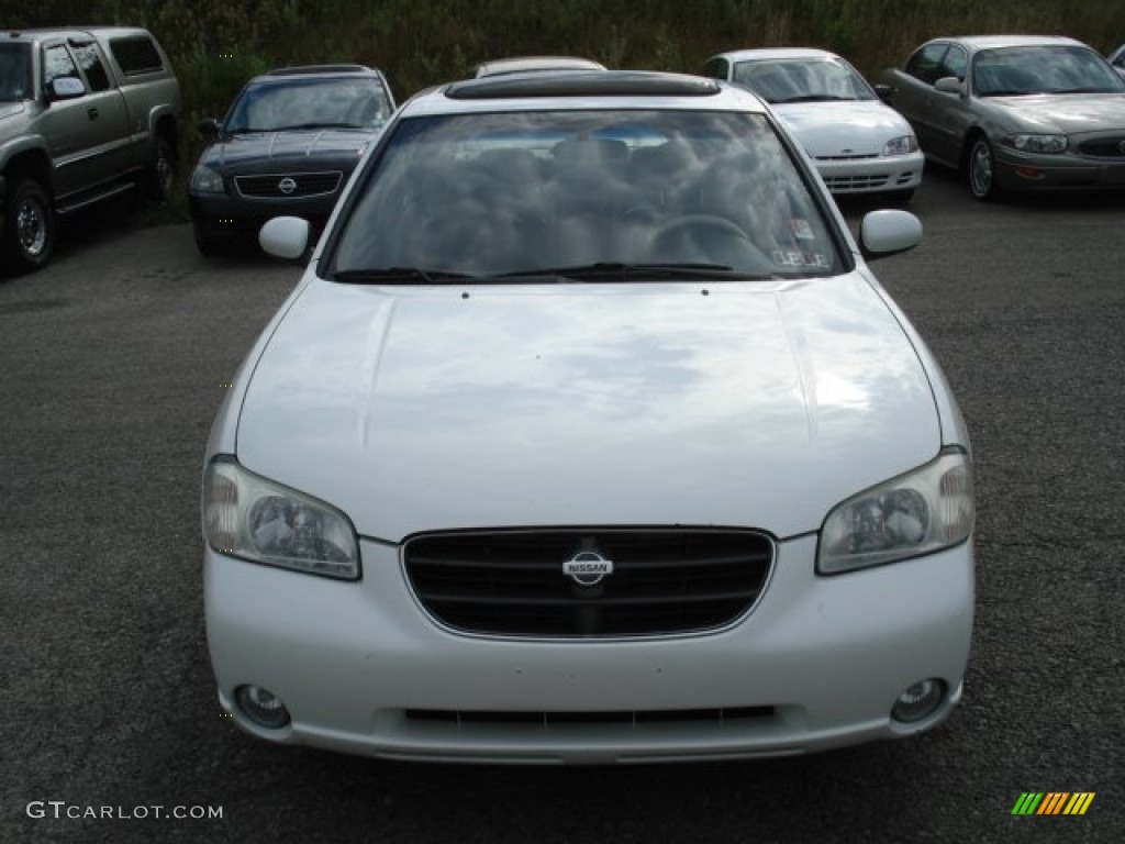2000 Maxima GLE - Icelandic Pearl / Blond photo #2