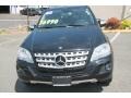 Black - ML 350 4Matic Photo No. 2