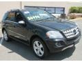 Black - ML 350 4Matic Photo No. 3