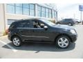 Black - ML 350 4Matic Photo No. 4