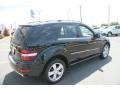 Black - ML 350 4Matic Photo No. 6