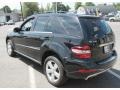 Black - ML 350 4Matic Photo No. 12