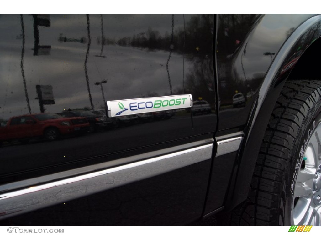 2012 Ford F150 Platinum SuperCrew 4x4 Marks and Logos Photo #67831749