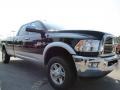 Brilliant Black Crystal Pearl - Ram 2500 HD Laramie Crew Cab 4x4 Photo No. 4