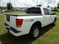Blizzard White - Titan Pro-4X Crew Cab 4x4 Photo No. 8