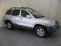 2004 Pewter Hyundai Santa Fe GLS  photo #4