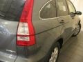 Polished Metal Metallic - CR-V SE 4WD Photo No. 9