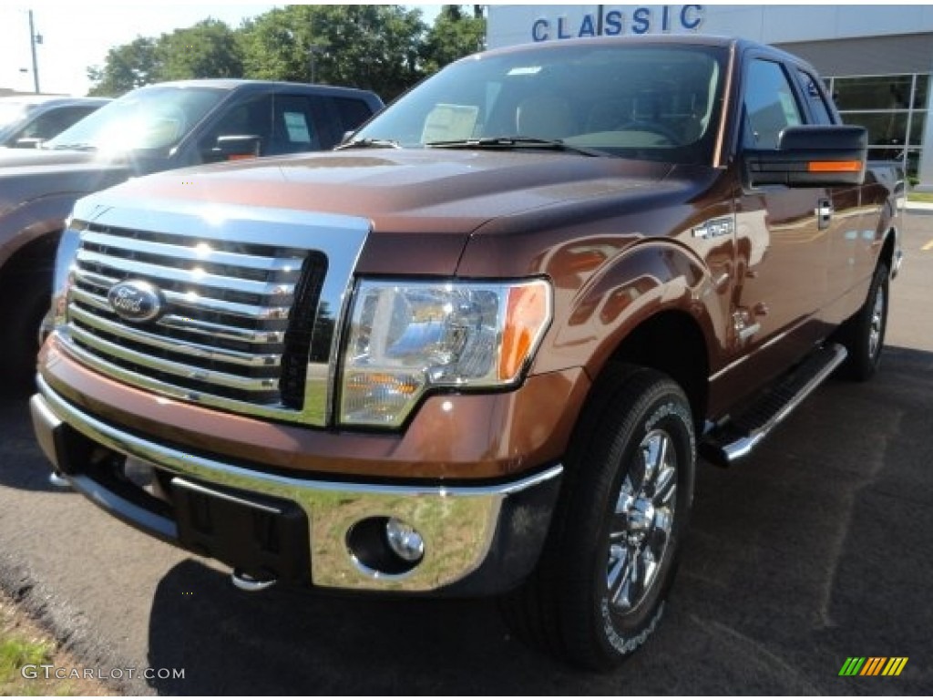 Golden Bronze Metallic Ford F150