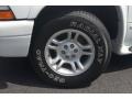 2002 Dodge Durango SXT Wheel and Tire Photo