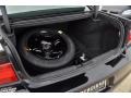 Black Trunk Photo for 2012 Dodge Charger #67850619