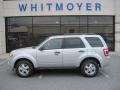 Ingot Silver Metallic - Escape XLT V6 4WD Photo No. 1