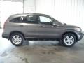 2010 Urban Titanium Metallic Honda CR-V EX-L AWD  photo #5