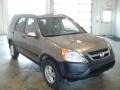 Mojave Mist Metallic - CR-V EX 4WD Photo No. 3