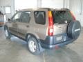 Mojave Mist Metallic - CR-V EX 4WD Photo No. 6