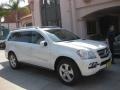 Arctic White - GL 450 4Matic Photo No. 26