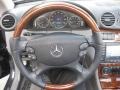 2009 Steel Grey Metallic Mercedes-Benz CLK 350 Cabriolet  photo #16