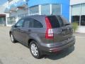 Urban Titanium Metallic - CR-V SE 4WD Photo No. 5