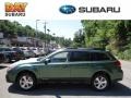 2013 Cypress Green Pearl Subaru Outback 3.6R Limited  photo #1