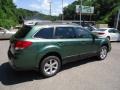 2013 Cypress Green Pearl Subaru Outback 3.6R Limited  photo #3