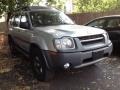 2003 Silver Ice Metallic Nissan Xterra XE V6 4x4  photo #3