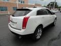 Platinum Ice Tricoat - SRX Performance Photo No. 4